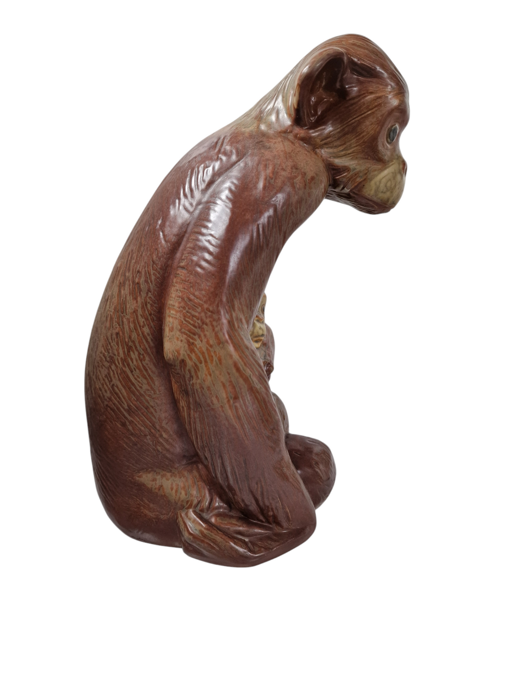 LLADRÓ . CHIMPANCÉ CON SU CRÍA.