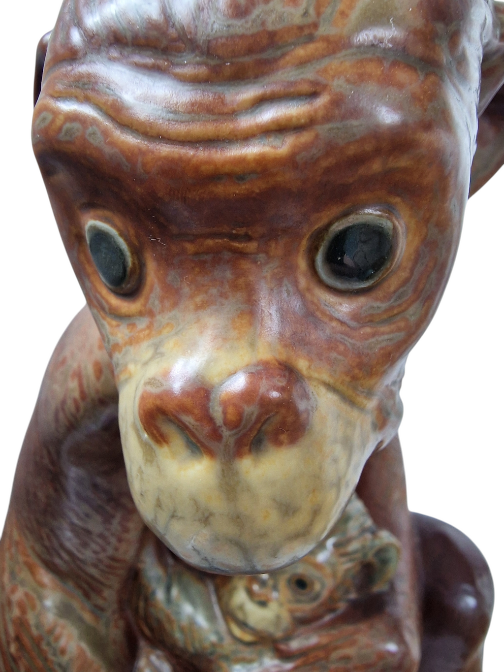 LLADRÓ . CHIMPANCÉ CON SU CRÍA.