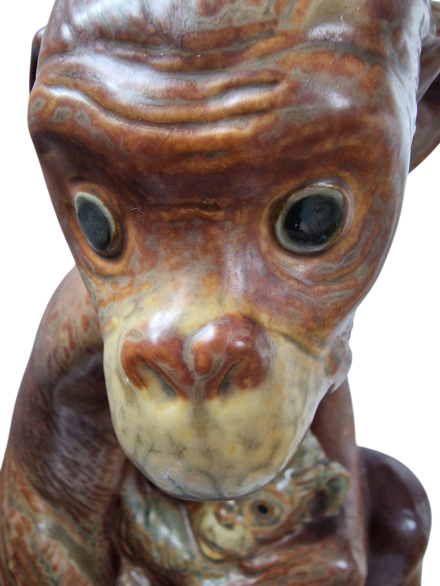 LLADRÓ . CHIMPANCÉ CON SU CRÍA.