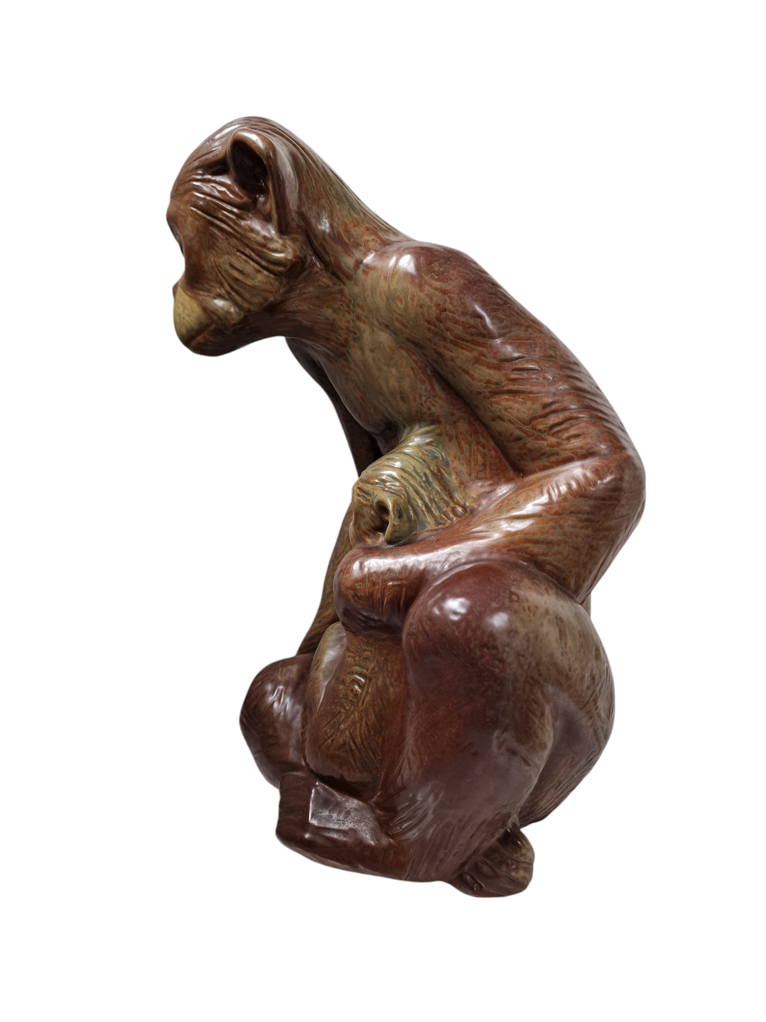 LLADRÓ . CHIMPANCÉ CON SU CRÍA.