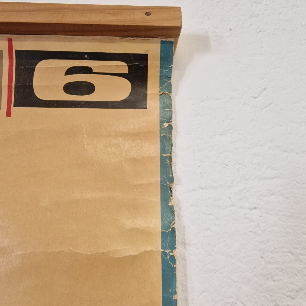 LAMINA DE ANATOMIA ESCOLAR CONEJO