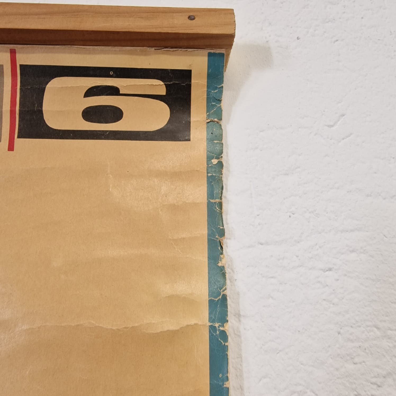 LAMINA DE ANATOMIA ESCOLAR CONEJO