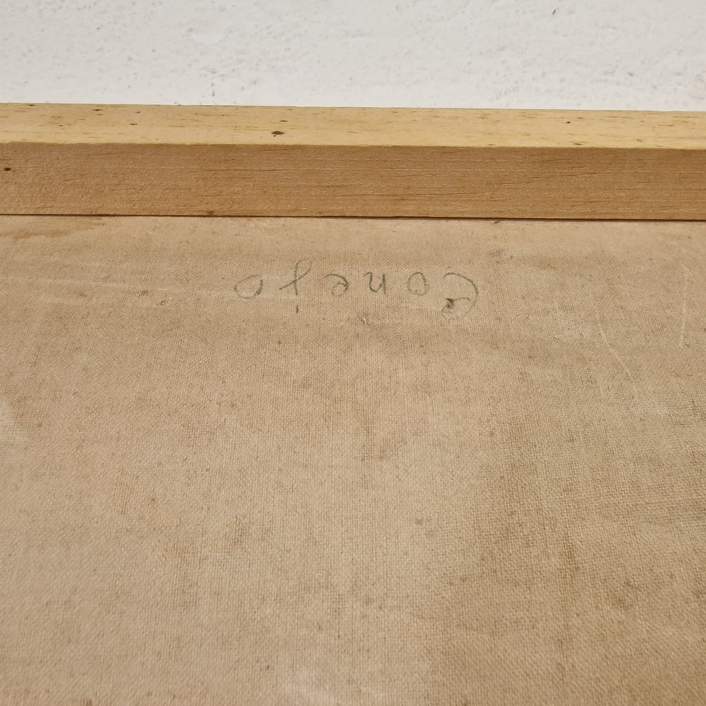 LAMINA DE ANATOMIA ESCOLAR CONEJO