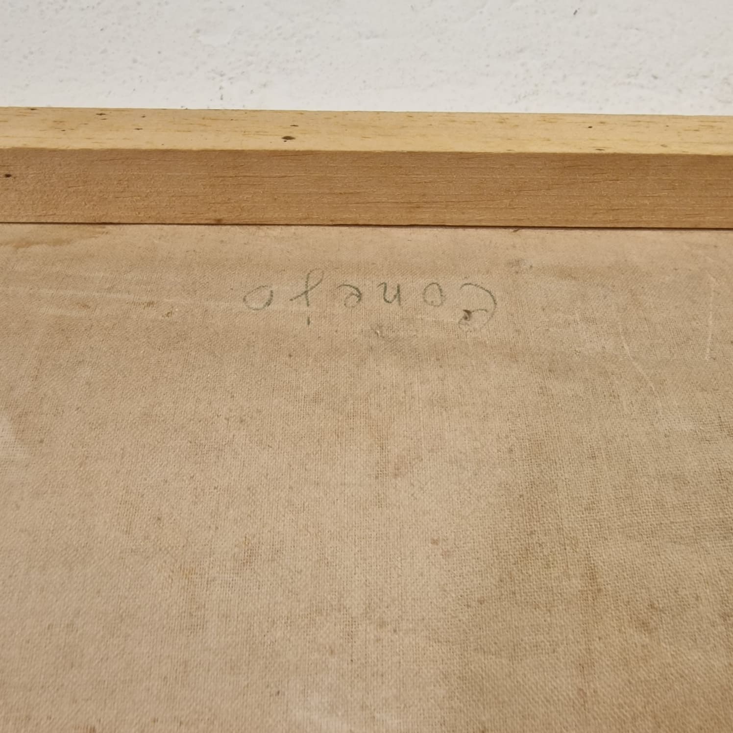 LAMINA DE ANATOMIA ESCOLAR CONEJO