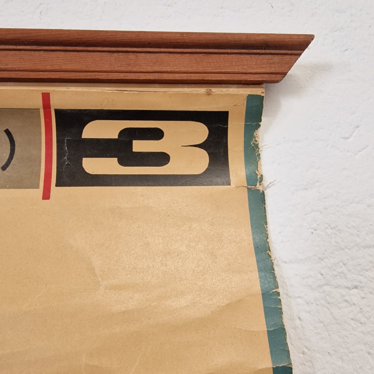 LAMINA DE ANATOMIA ESCOLAR RANA