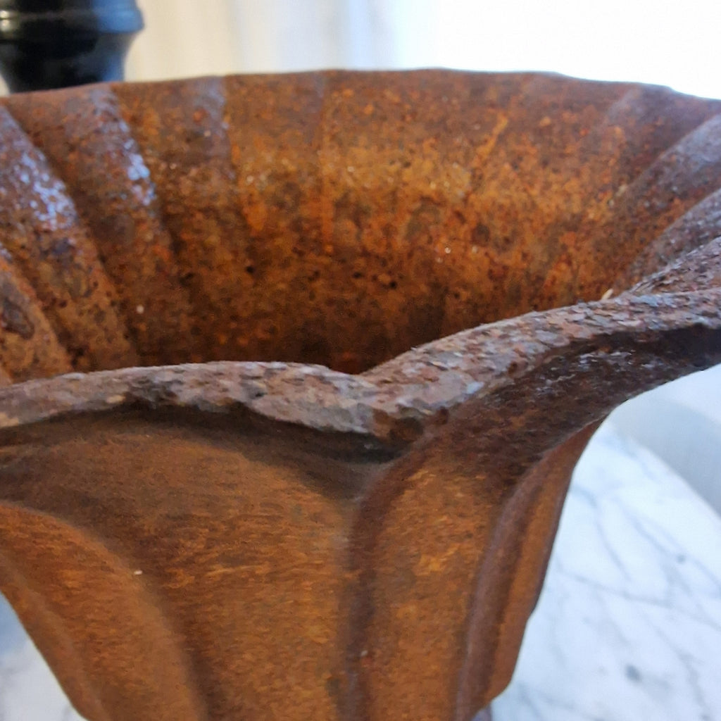 Copa Medici hierro oxido.